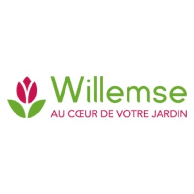 Willemse