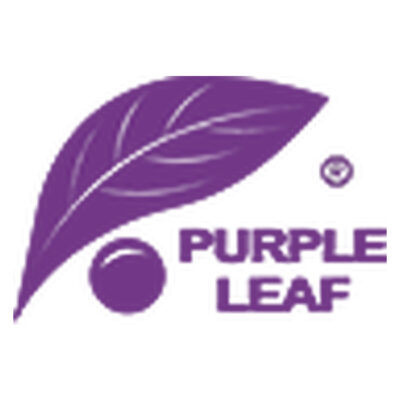 Purple Leaf