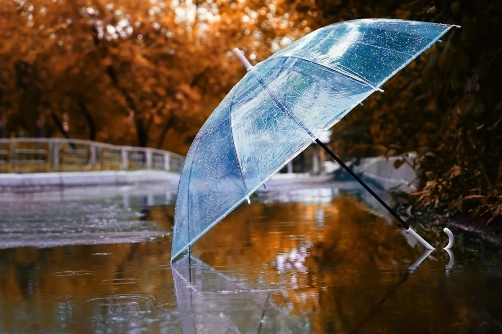 parapluie